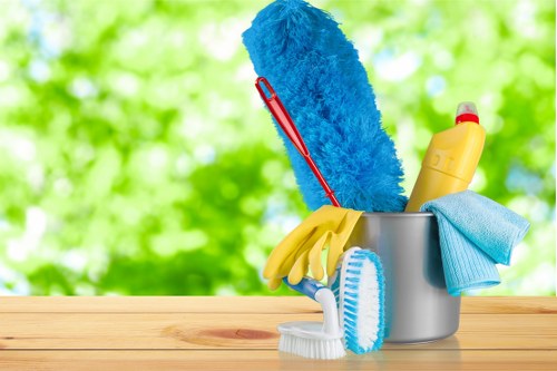 Accessible Cleaner Bermondsey website on a screen reader-friendly interface