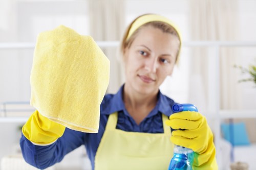 Professional one off cleaning service for Bermondsey homes and flats