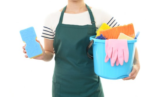 Cleaner Bermondsey team providing professional home cleaning in a local property
