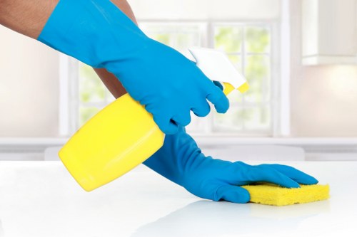 Upholstery cleaning for a sofa in a Bermondsey home