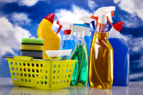 Deep bathroom cleaning for a Bermondsey rental property