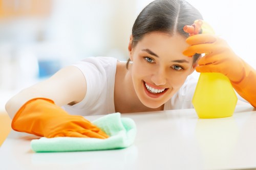 Professional oven cleaning service for Bermondsey homes and flats