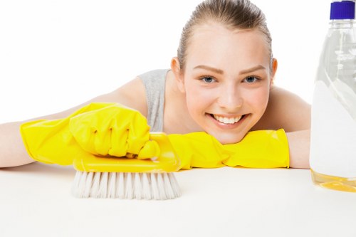 Routine gutter cleaning service for Bermondsey residential and commercial properties