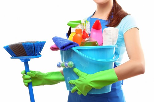 Reliable Cleaner Bermondsey support for busy households and properties