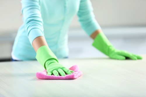 Local Bermondsey cleaning service creating tidy and hygienic spaces