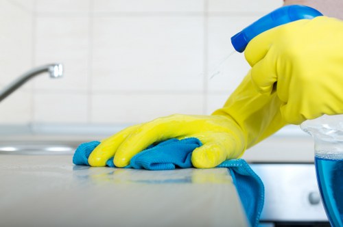 Local cleaning service handling pet odour problems in Bermondsey properties