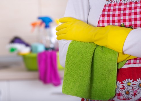 Cleaner assessing a property before starting the work