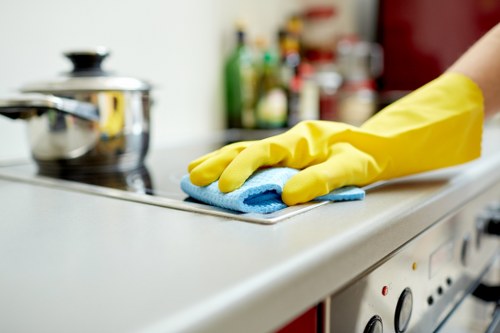 Local Bermondsey upholstery cleaning for pet urine and odour issues