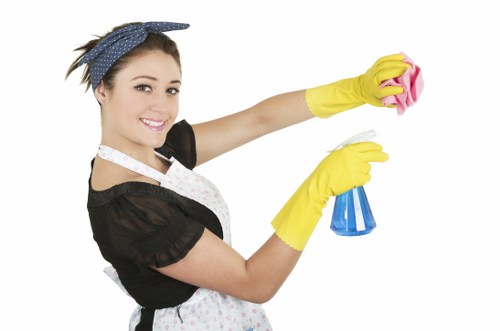 Professional vacate cleaning for a Bermondsey living room