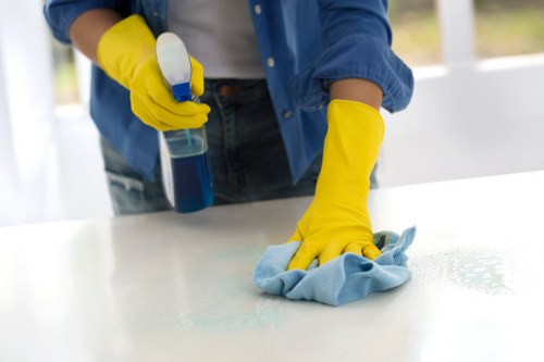 Targeted treatment for pet stains in a Bermondsey home interior