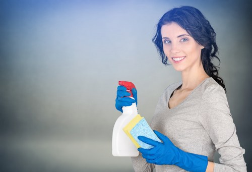 Kitchen and bathroom cleaning in a Bermondsey apartment